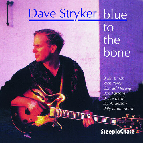 Dave Stryker - Blue to the Bone