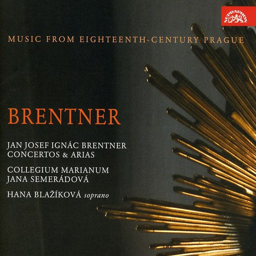 Collegium Marianum - Concertos & Arias