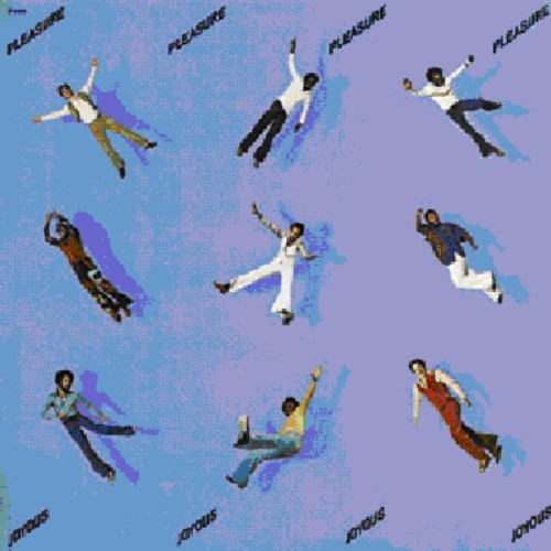 Pleasure - Joyous