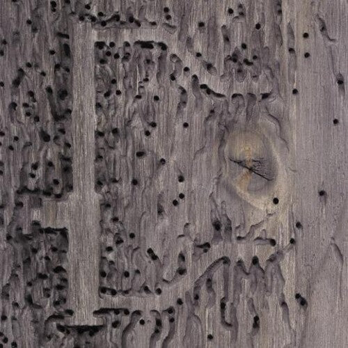 DJ Signify - Sleep No More