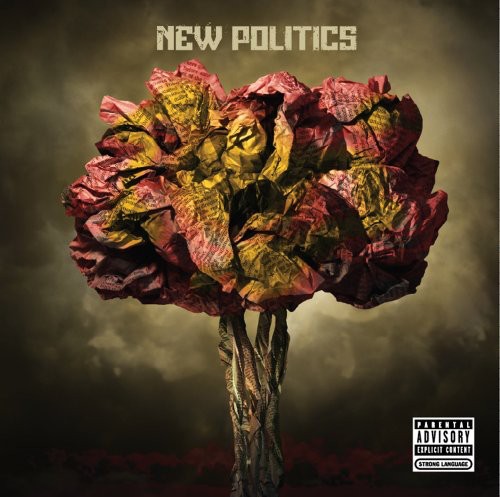 New Politics - New Politics