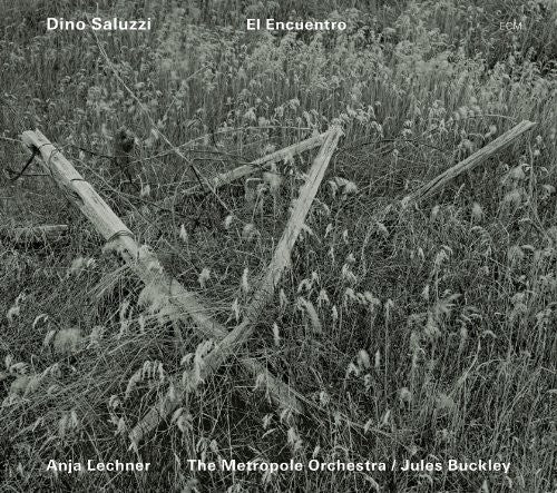 Dino Saluzzi & Anja Lechner - El Encuentro