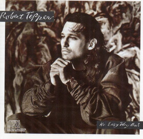 Robert Tepper - No Easy Way Out