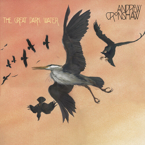 Andrew Cronshaw - The Great Dark Water