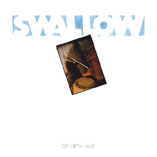 Swallow - Out of the Nest
