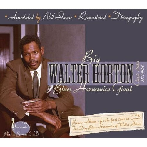 Walter Horton - Blues Harmonica Giant