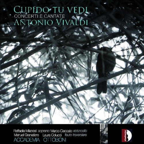 Vivaldi/ Milanesi/ Colucci/ Granatiero/ Ceccat - Cupido Tu Vedi