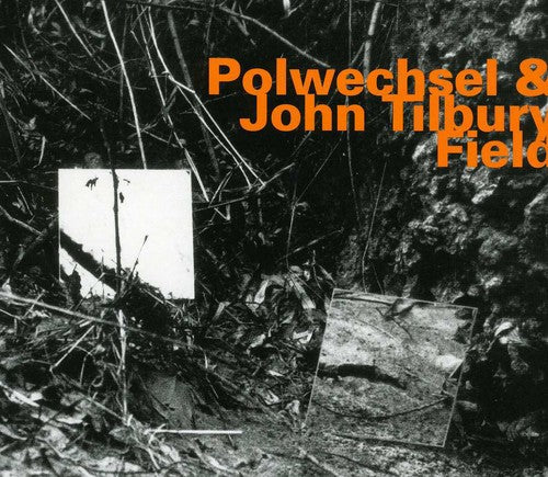 Polwechsel & John Tilbury - Field
