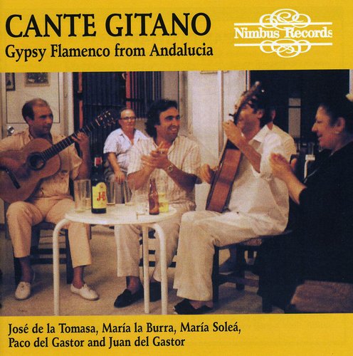 Various Artists - Gypsy Flamenco from Andalucia