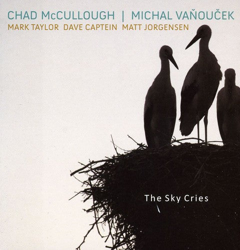 Michal Vanoucek - Sky Cries