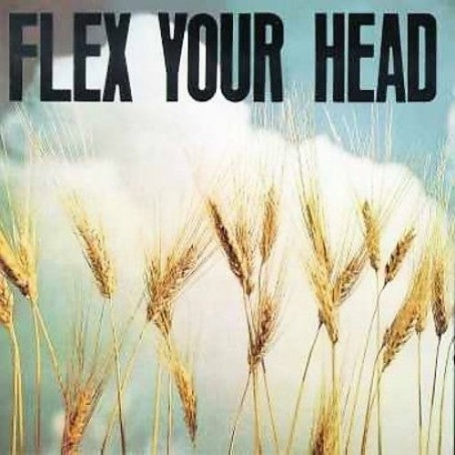 Flex Your Head/ Various - Flex Your Head
