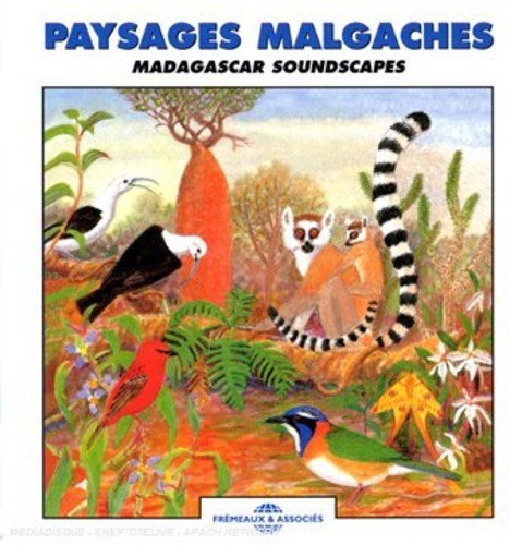 Roche/ Sounds of Nature - Madagascar Soundscapes