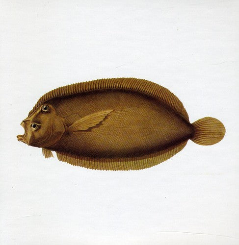 Blue Water White Death - Blue Water White Death