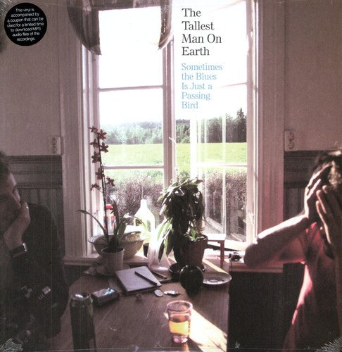 Tallest Man on Earth - Sometimes the Blues Is Just a Passing Bird