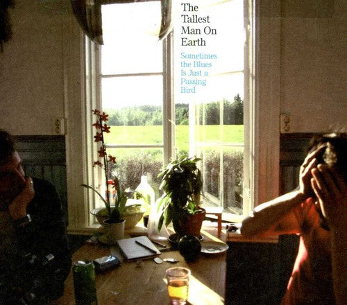 Tallest Man on Earth - Sometimes the Blues Is Just a Passing Bird