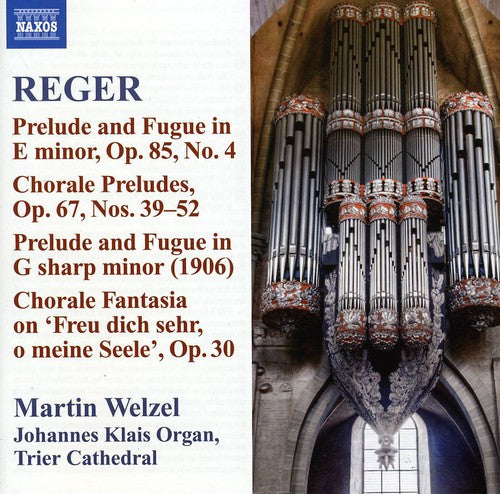 Reger/ Welzel - Reger 10: Organ Works