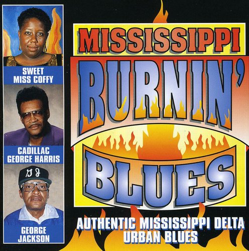 Various - Mississippi Burnin Blues / Various