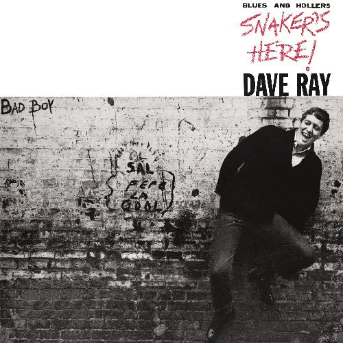 Dave Ray - Snaker's Here