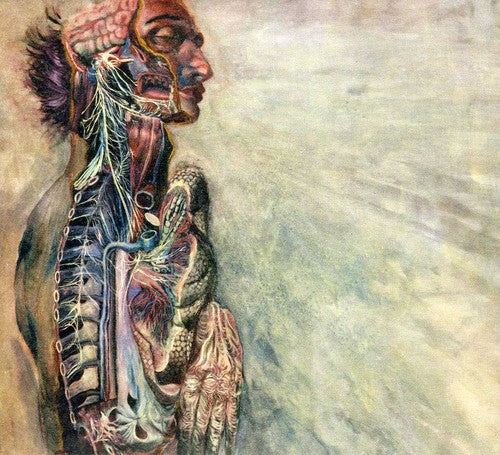 Fear & Nervous System - Fear & Nervous System