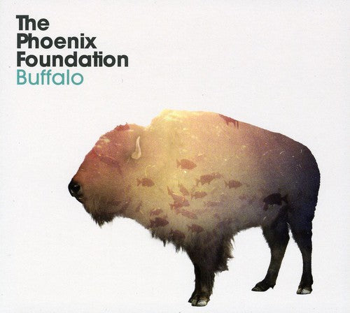 Phoenix Foundation - Buffalo