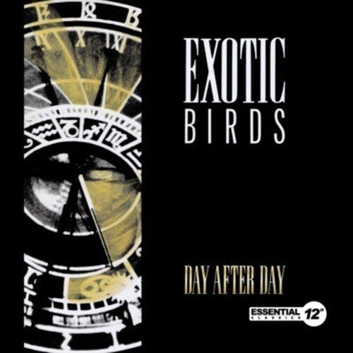 Exotic Birds