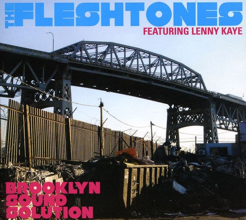 The Fleshtones - Brooklyn Sound Solution