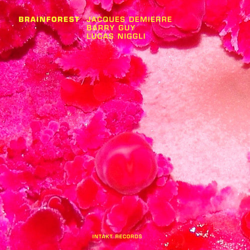 Barry Guy - Brainforest