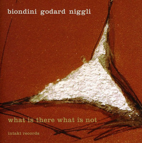 Biondini/ Godard - What There What Not