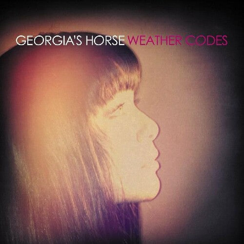 Georgia's Horse - Weather Codes
