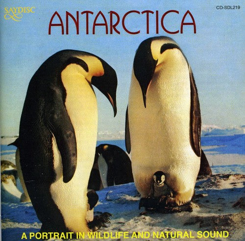 Antarctica: Portrait in Wildlife & Natural Sound - Antarctica: A Portrait In Wildlife and Natural Sound