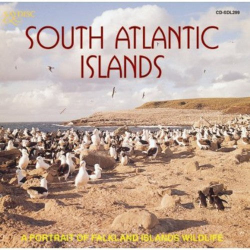 South Atlantic Islands: Portrait Falkland/ Var - South Atlantic Islands: A Portrait Of Falkland Islands Wildlife