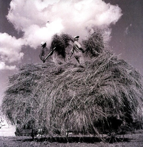 William Whitmore Elliott - Field Songs