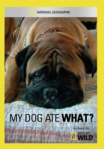 My Dog Ate What?