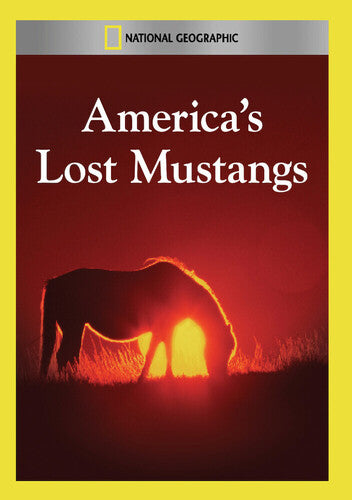 America's Lost Mustangs