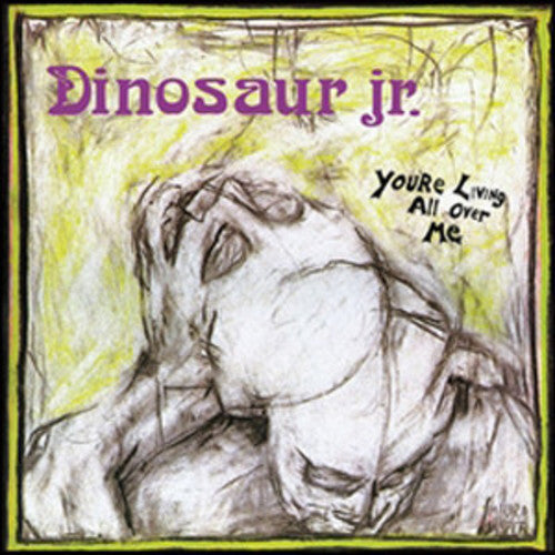 Dinosaur Jr - You're Living All Over Me