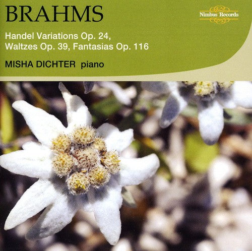 Brahms/ Dichter - Handel Variations Waltzes & Fantasias