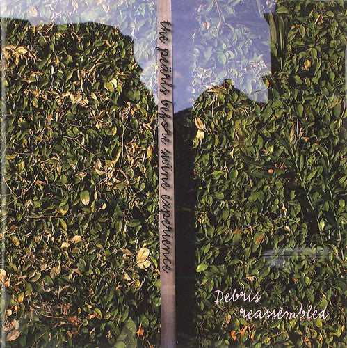 Strindberg/ Debris Reassembled/ Hedelin - Pearls Before Swine