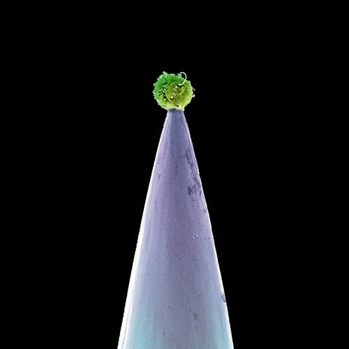 Peter Gabriel - New Blood