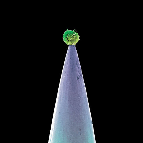 Peter Gabriel - New Blood
