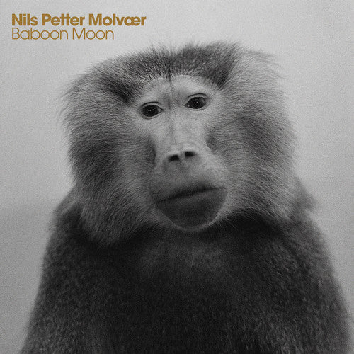 Nils Petter - Baboon Moon