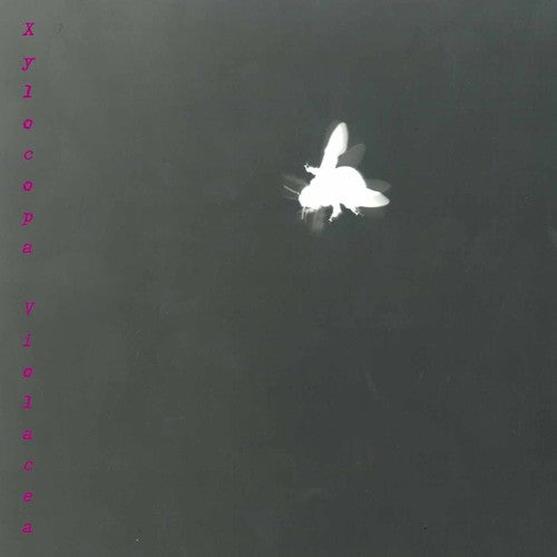 Ronchetti/ Maurer/ Braid - Xylocopa Violacea