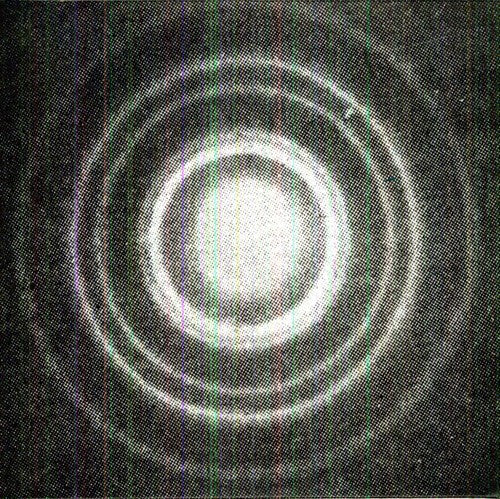 Thomas Ankersmit - Forma II