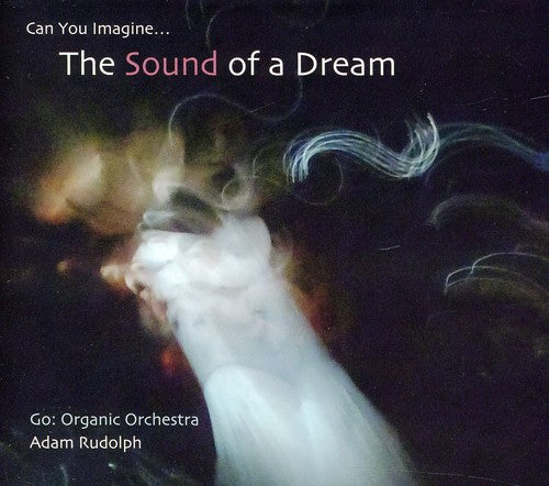 Adam Rudolph - Go: Organic Orchestra - Can You Imagine The Sound Of A Dream