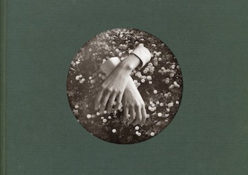 aspidistrafly - A Little Fable