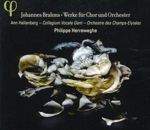 Brahms/ Hallenberg/ Herreweghe - Works for Chorus & Orchestra