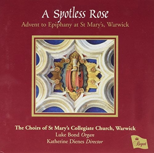 Advent to Epiphany - Spotless Rose