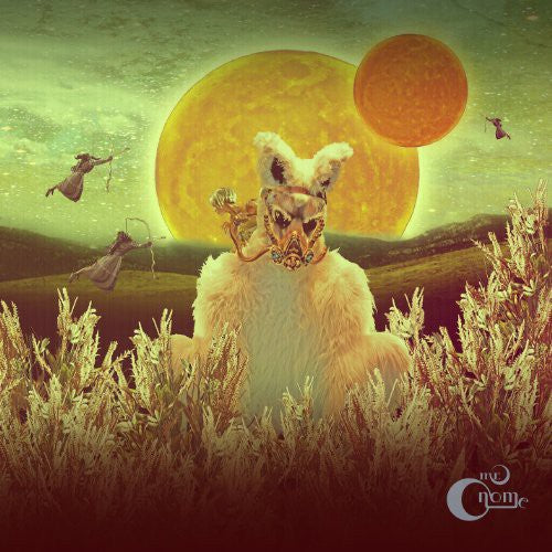 Mr. Gnome - Madness in Miniature