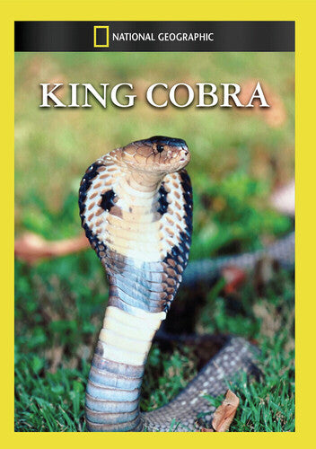 King Cobra