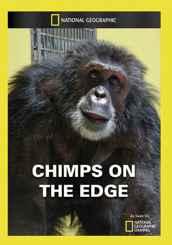 Chimps on the Edge
