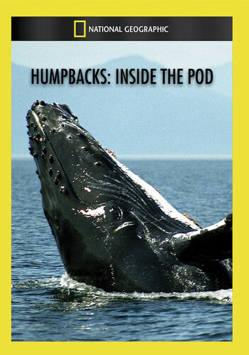 Humpbacks: Inside the Pod